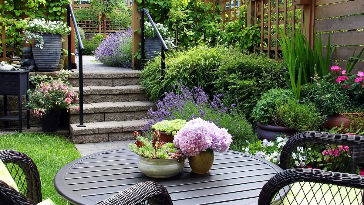 garden design Northampton